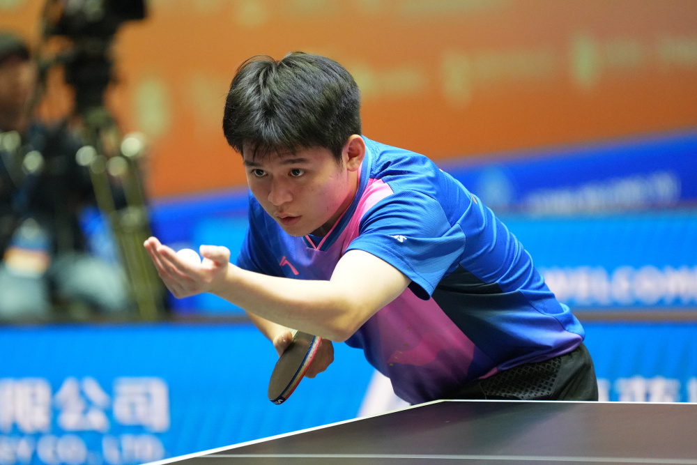 的黄黑战袍 的黄黑战袍